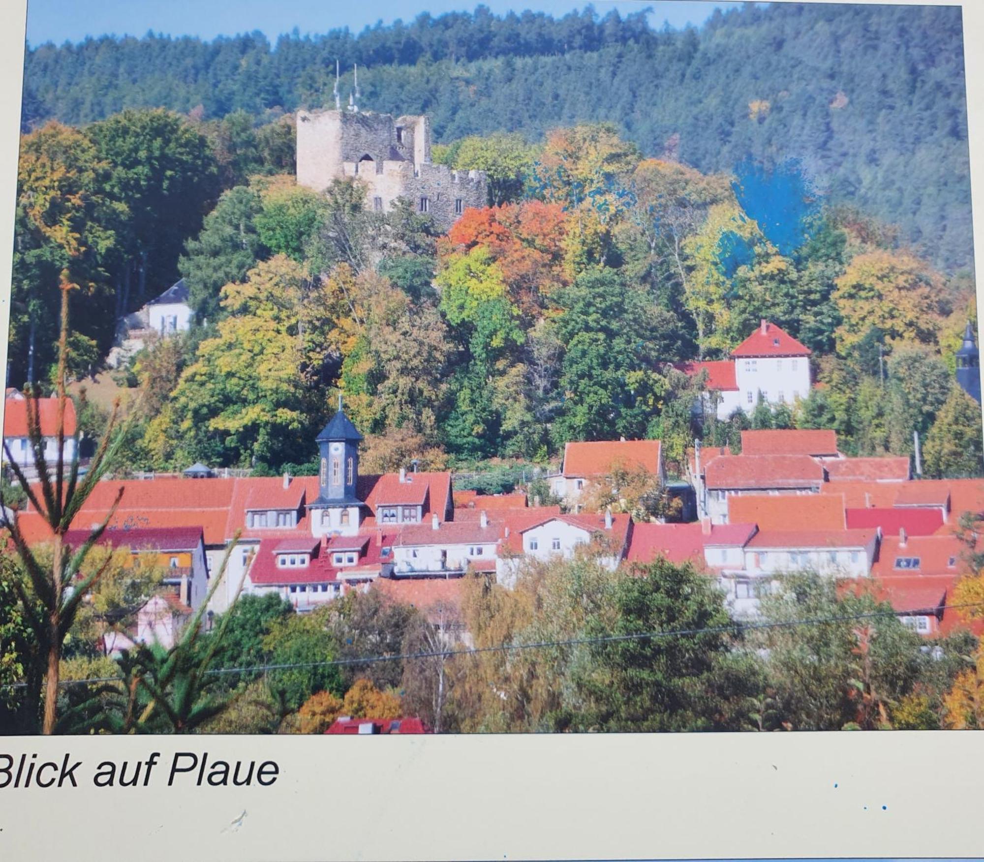 Ferienwohnung Burgblick Plaue  Zewnętrze zdjęcie