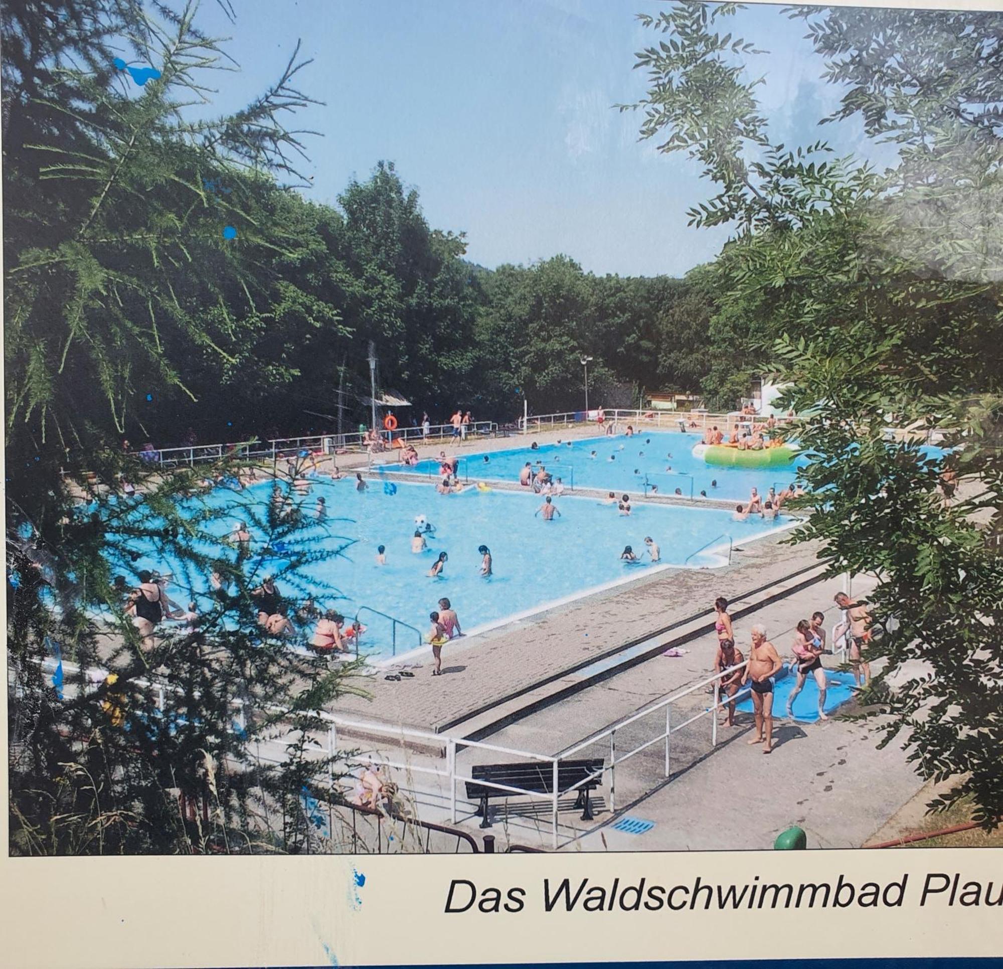 Ferienwohnung Burgblick Plaue  Zewnętrze zdjęcie